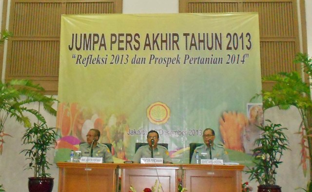 Daging Sapi Terpaksa Diimpor selama 2013 untuk Penuhi Kebutuhan Nasional
